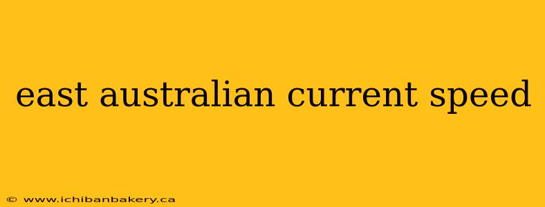 east australian current speed