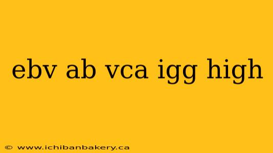 ebv ab vca igg high