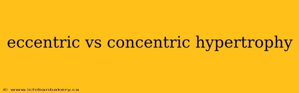 eccentric vs concentric hypertrophy