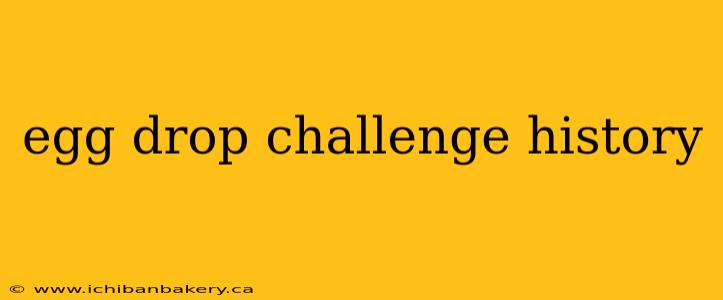 egg drop challenge history