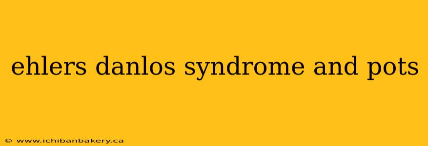 ehlers danlos syndrome and pots