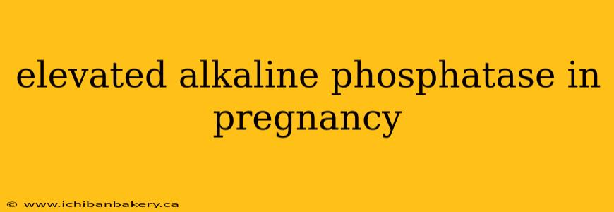 elevated alkaline phosphatase in pregnancy