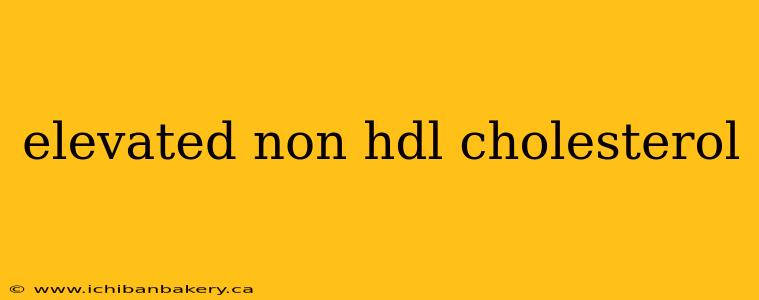 elevated non hdl cholesterol