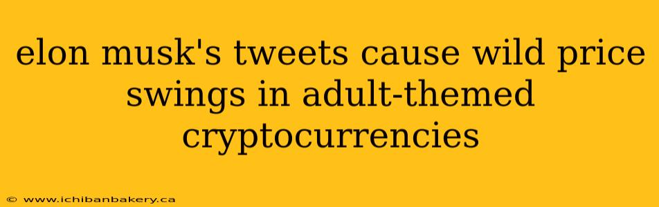 elon musk's tweets cause wild price swings in adult-themed cryptocurrencies