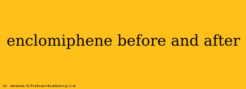 enclomiphene before and after
