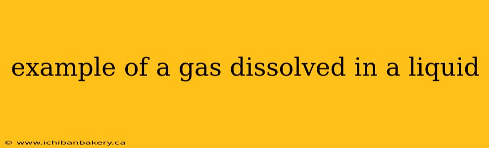 example of a gas dissolved in a liquid
