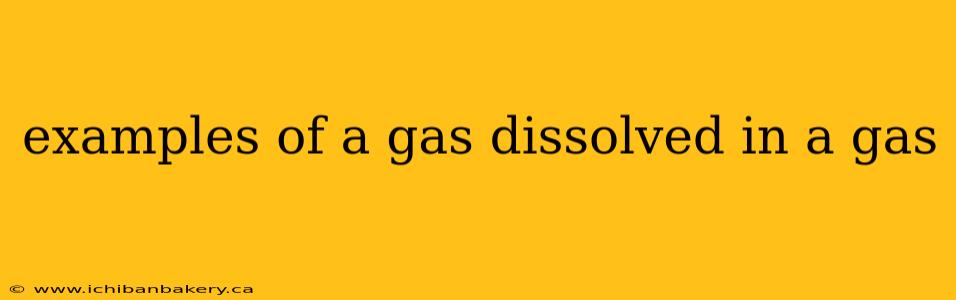 examples of a gas dissolved in a gas