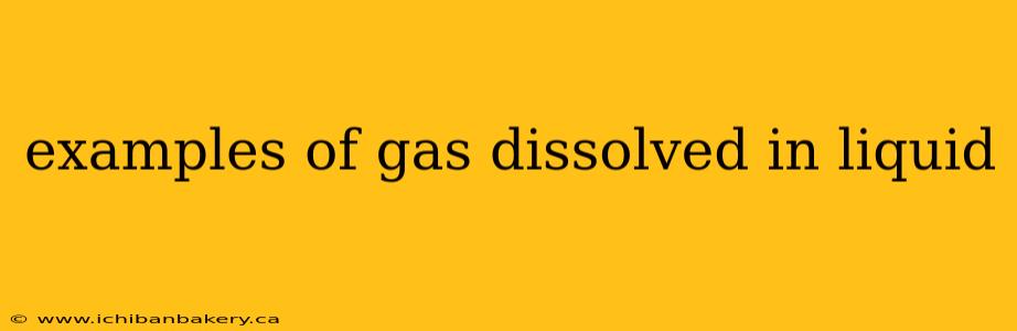 examples of gas dissolved in liquid
