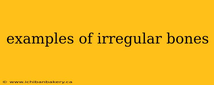 examples of irregular bones