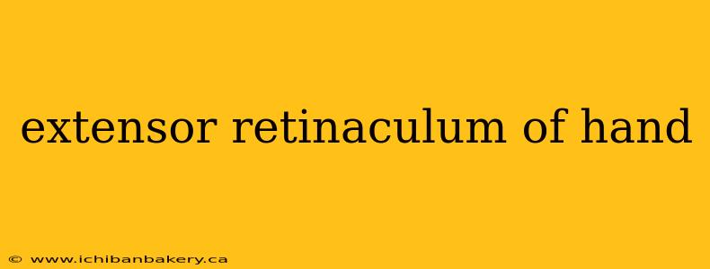 extensor retinaculum of hand