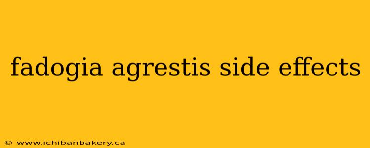 fadogia agrestis side effects