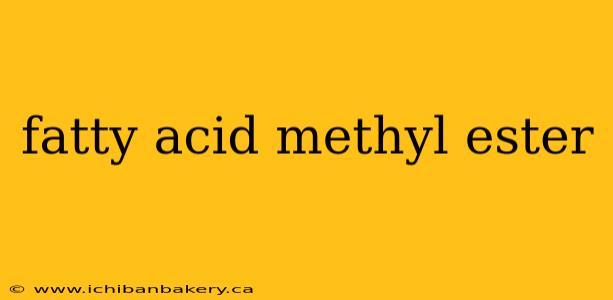 fatty acid methyl ester