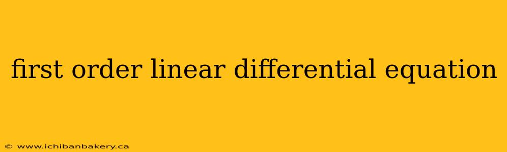 first order linear differential equation