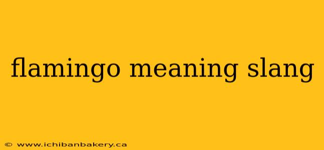 flamingo meaning slang