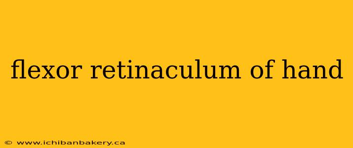 flexor retinaculum of hand