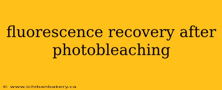fluorescence recovery after photobleaching