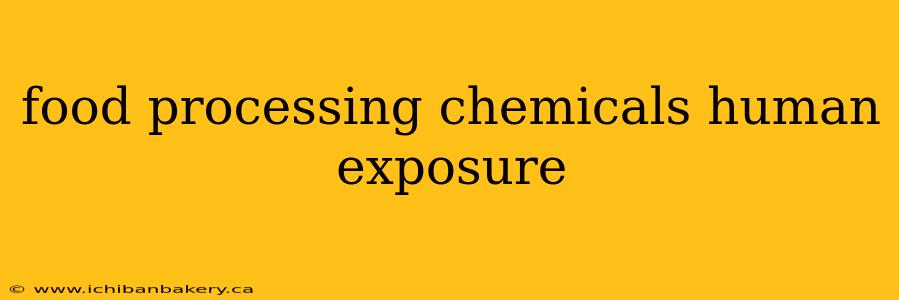 food processing chemicals human exposure