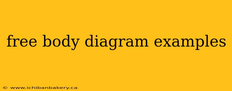 free body diagram examples