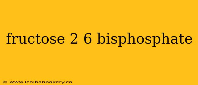 fructose 2 6 bisphosphate