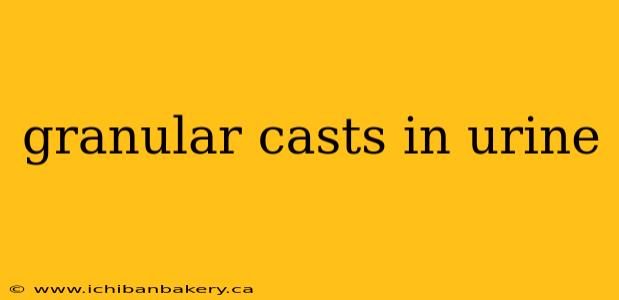 granular casts in urine