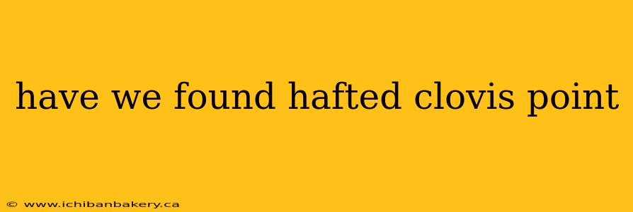 have we found hafted clovis point