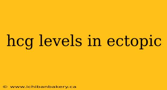 hcg levels in ectopic