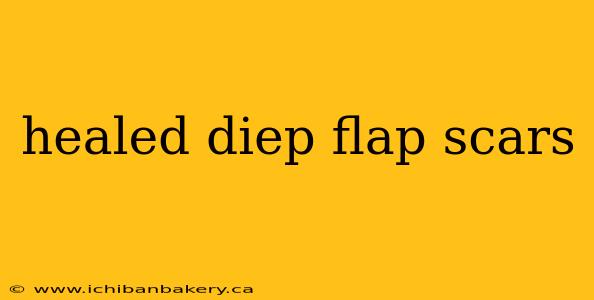 healed diep flap scars