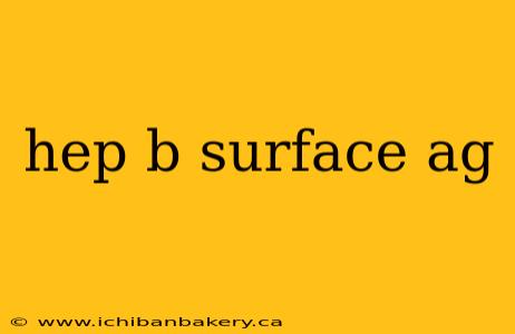 hep b surface ag