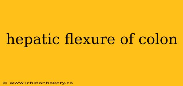 hepatic flexure of colon