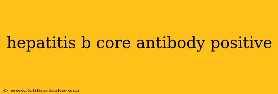 hepatitis b core antibody positive