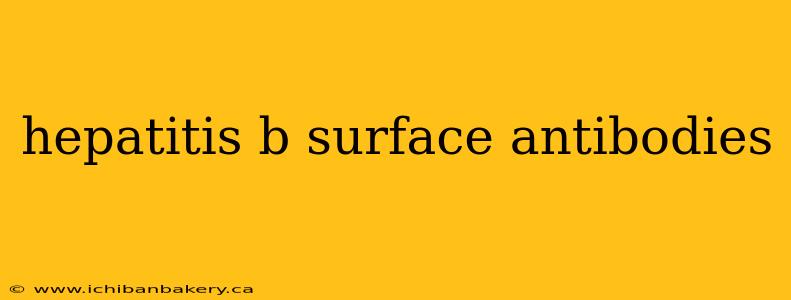 hepatitis b surface antibodies
