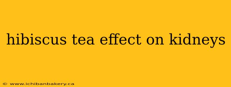 hibiscus tea effect on kidneys
