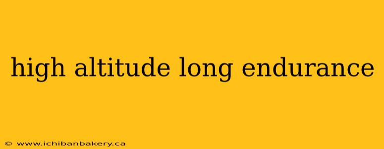 high altitude long endurance