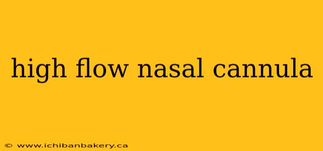 high flow nasal cannula