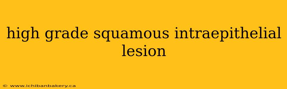 high grade squamous intraepithelial lesion