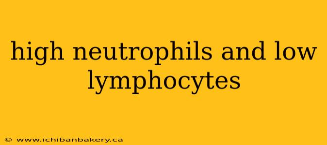 high neutrophils and low lymphocytes