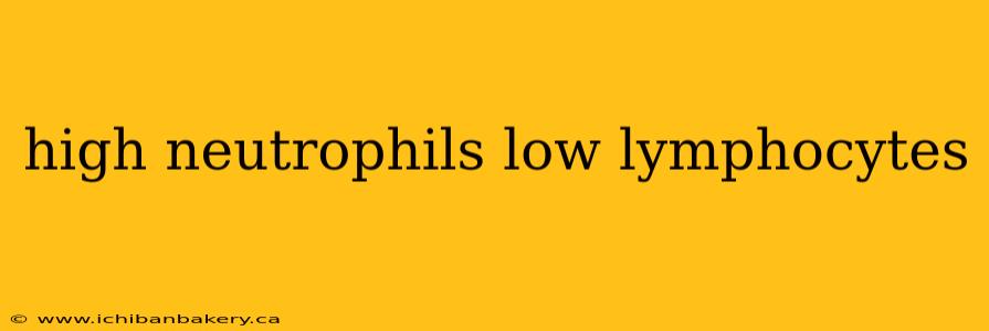 high neutrophils low lymphocytes
