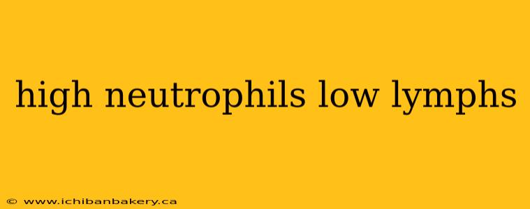 high neutrophils low lymphs