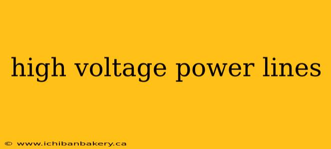 high voltage power lines