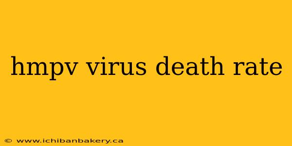hmpv virus death rate