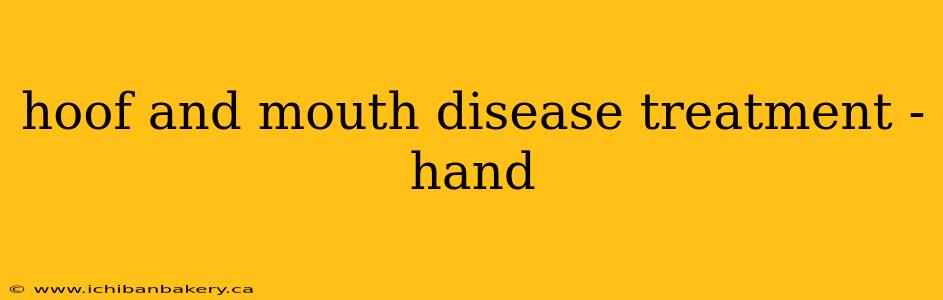 hoof and mouth disease treatment -hand