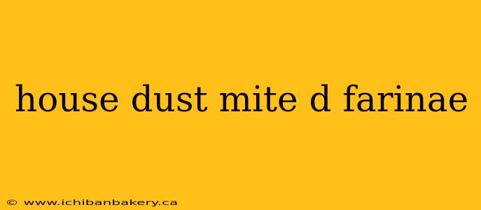 house dust mite d farinae