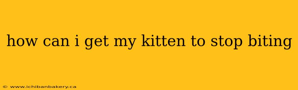 how can i get my kitten to stop biting