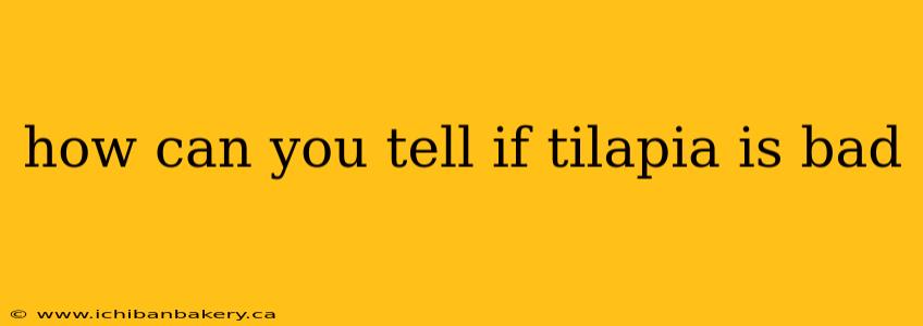 how can you tell if tilapia is bad