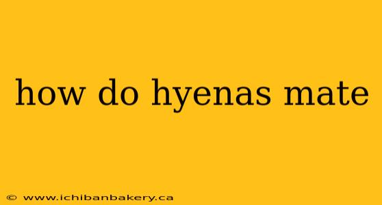 how do hyenas mate