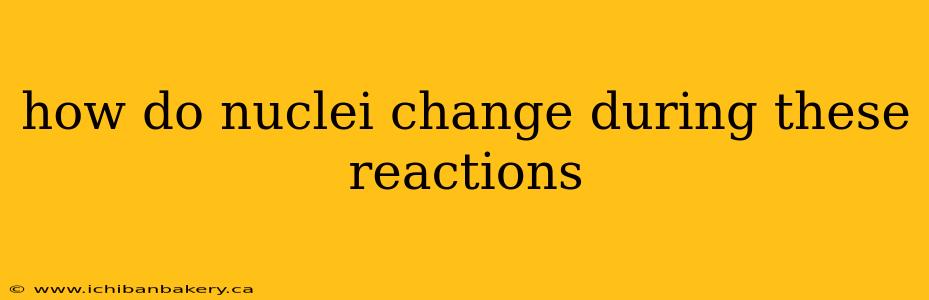 how do nuclei change during these reactions