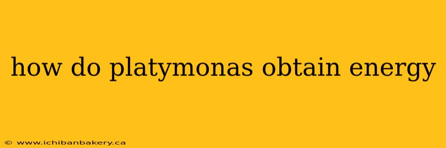how do platymonas obtain energy