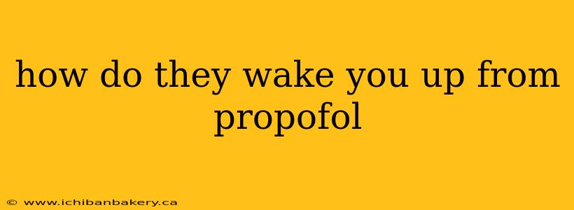 how do they wake you up from propofol