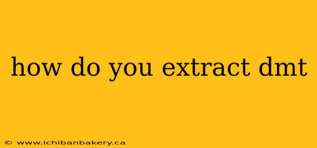 how do you extract dmt