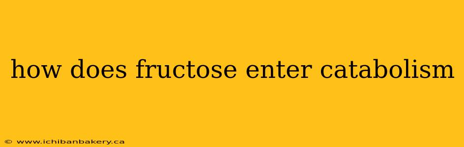 how does fructose enter catabolism